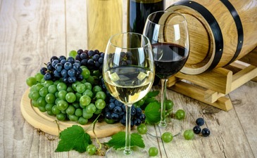 Hearts of Holiness – Shemitah Wine