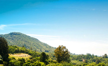 Learning material for parent-children study about the mitzvot dependent on the Land of Israel