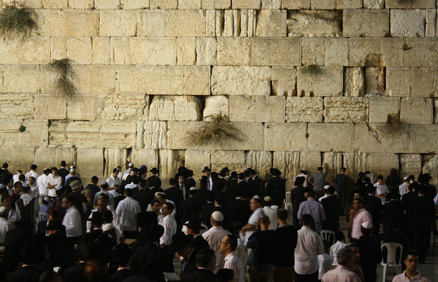 Communal halachic rulings from the teachings of Rabbi Yaakov Ariel