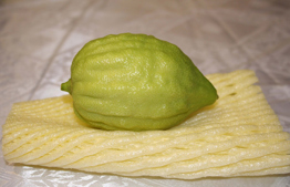 Sukkot: The Etrog