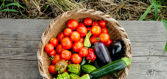 Preparing for 5786: a ma’aser sheni year