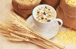 The Prohibition of Chadash in Israel Today: A Review