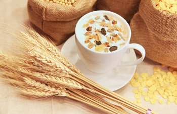 The Prohibition of Chadash in Israel Today: A Review