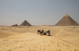 Parashat Vayigash: Going Down to Egypt