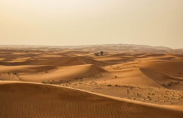 Parashat Yitro: The Desert's Advantage