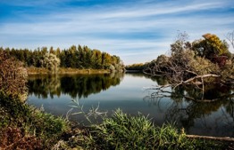 Matot Masei: The Jordan River