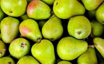 Shemitah calendar for fruit