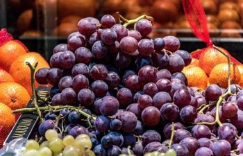 Shemitah, Chapter 13: Practical Guidelines for Consumers for Purchasing Fruits and Vegetables