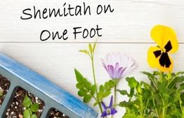 Shemitah on one foot