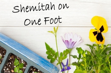 Shemitah on one foot