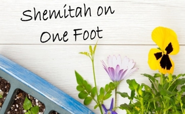 Shemitah on one foot