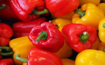 Israeli organic peppers in the United States during shemitah