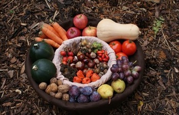 Pesach: Bi'ur Ma'aserot and Viduy Ma'aserot, Nissan 5786