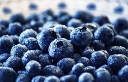 Blue Gold – Blueberries and Orlah