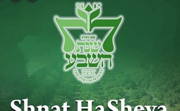 Shenat Hasheva – Year Seven Project