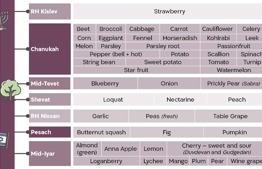 Until when do shemitah laws apply to fruits and vegetables during the eighth year