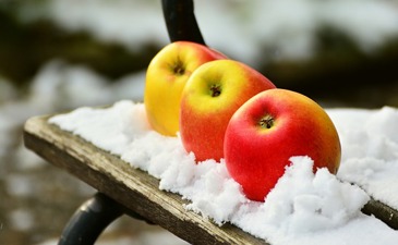 Saving shemitah fruit for neighbors and grandchildren – winter 5783
