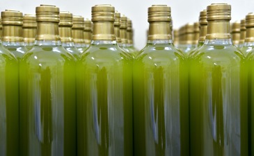 The amount of terumah gedolah for olive oil today