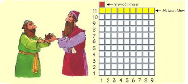 Levite giving terumat ma'aser to a Kohen