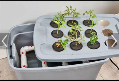 Hydroponic system with easily removable planters