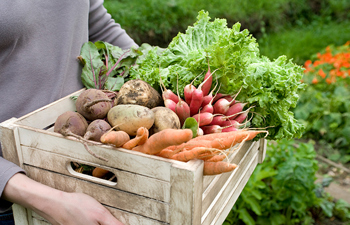 Text for separating terumot & ma'aserot with side-by-side translation