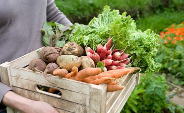 On exemption and avoidance of the terumot and ma‘aserot obligation