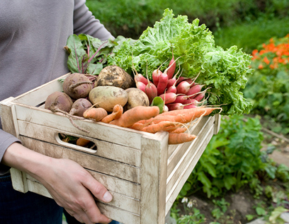Text for separating terumot & ma'aserot with side-by-side translation
