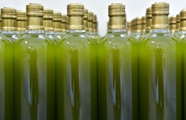 Guidelines for Separating Terumot and Ma'aserot from Olive Oil - 5786 and 5787