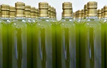 Guidelines for Separating Terumot and Ma'aserot from Olive Oil - 5786 and 5787